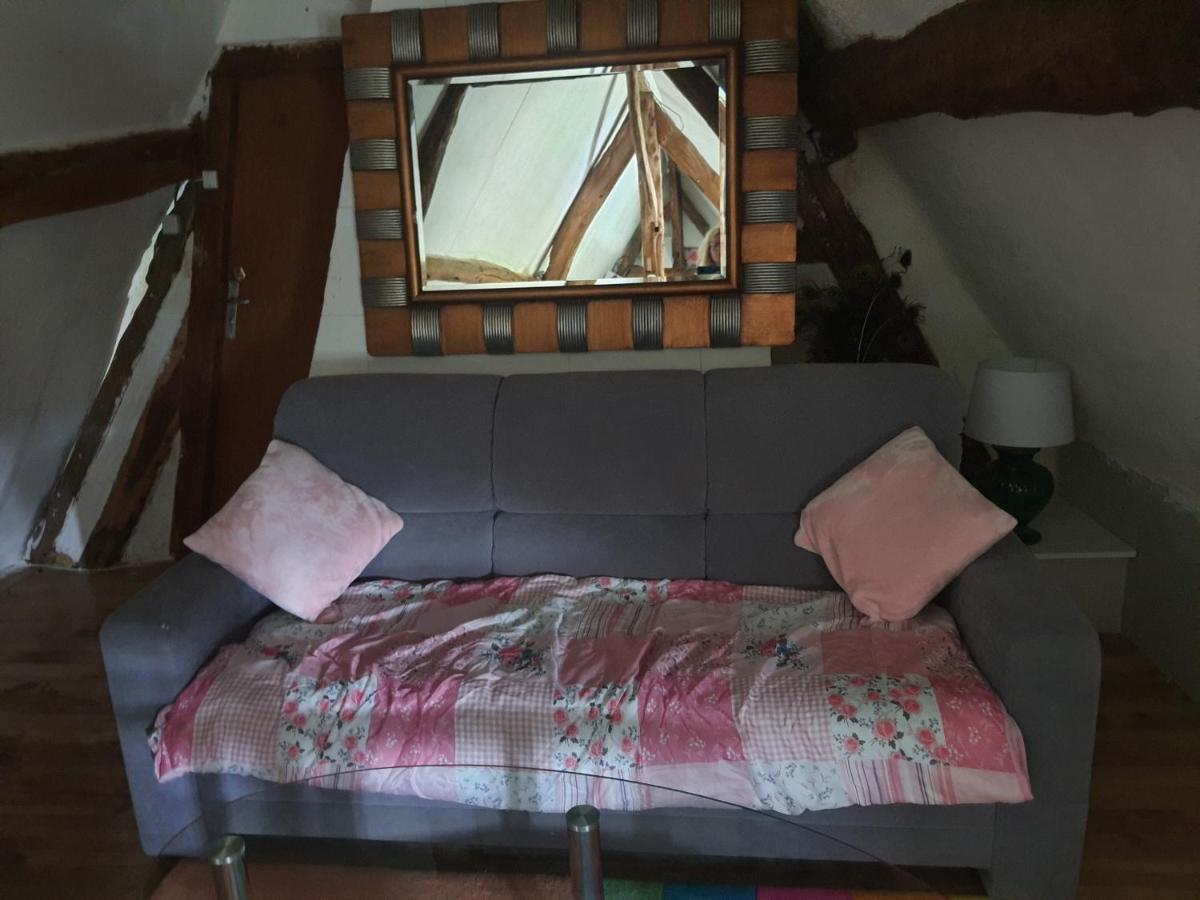 Chaumiere Du Chateau D'O Et Sa Mini Ferme ,Gite 21Couchages Goupil-Othon 外观 照片