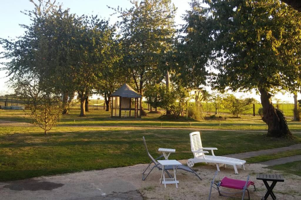 Chaumiere Du Chateau D'O Et Sa Mini Ferme ,Gite 21Couchages Goupil-Othon 外观 照片